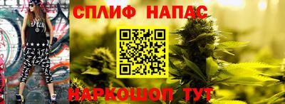 спайс Гатчина
