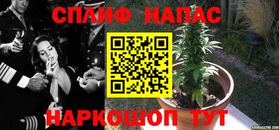 apvp Гагарин