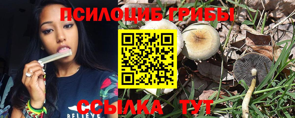 Галлюциногенные грибы прущие грибы Урус-Мартан