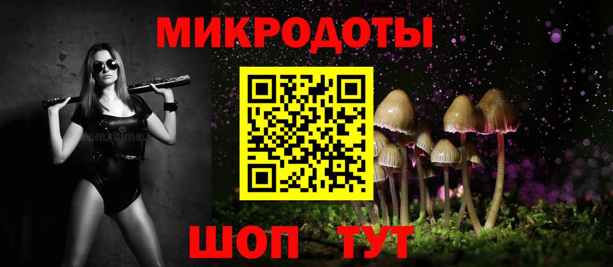 Псилоцибиновые грибы Cubensis  Вход с VPN  Урус-Мартан 